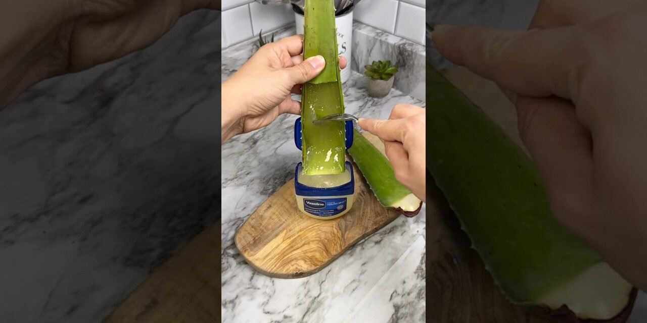 Just mix Aloe vera with Vaseline and you will be amazed!! #beautyhacks #skincaretips