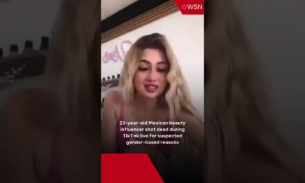 23-year-old Mexican beauty influencer shot dead during TikTok live for suspected gender-based reason