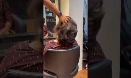 Advanced hair cut by @AvinashHAIRCARE