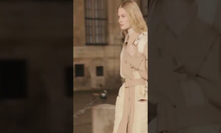 Celebrity-Inspired Handbag Dupes #shorts #celebrity #fashion