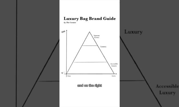 Ranking ALL luxury bag brands from low to ULTRA luxury #luxury #fashion #bags #brands