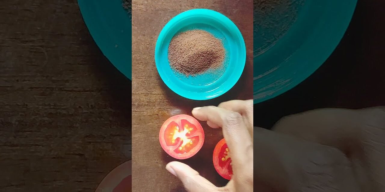 Coffee Facial | Bru & Tomato face pack | Coffee Facial at home | Get Clear, Glowing, Fair skin ||