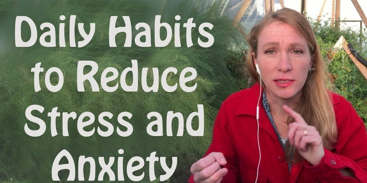 Daily Habits to Reduce Stress and Anxiety