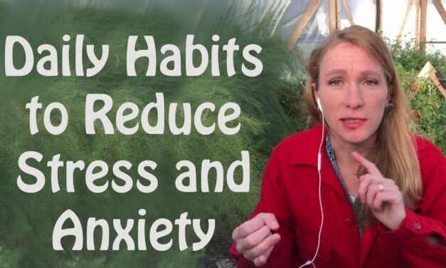 Daily Habits to Reduce Stress and Anxiety