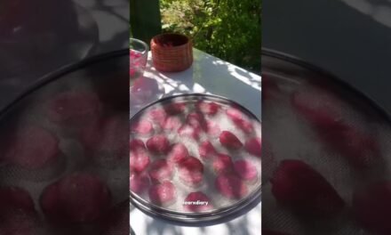 How to make blush at home #makeup #makeuptutorial #makeuplook #korean #koreanmakeup #glowuptips