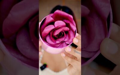 Tried the Viral Rose Blush | Viral Beauty Products | Pigmented Blush | Niharika Jain #blushhack