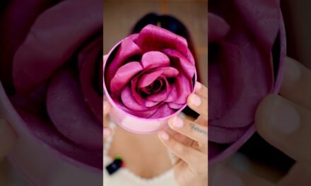 Tried the Viral Rose Blush | Viral Beauty Products | Pigmented Blush | Niharika Jain #blushhack