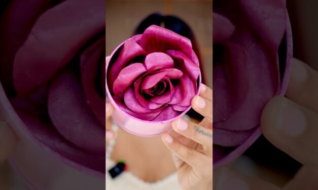 Tried the Viral Rose Blush | Viral Beauty Products | Pigmented Blush | Niharika Jain #blushhack