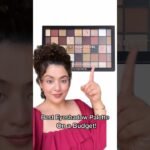Best Eyeshadow Palette on budget !