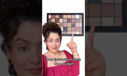 Best Eyeshadow Palette on budget !