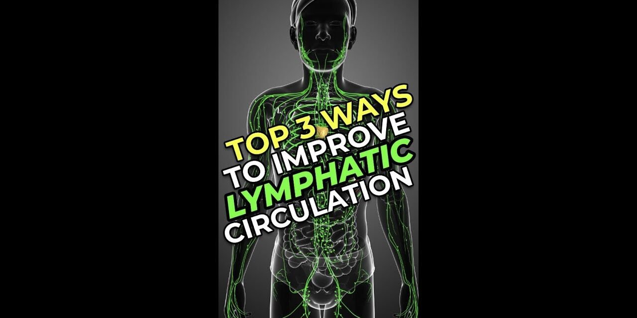 Top 3 Ways To Improve Lymphatic Circulation