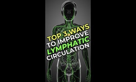 Top 3 Ways To Improve Lymphatic Circulation