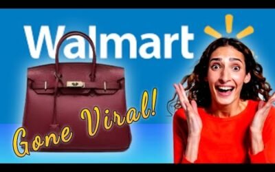 Birkin Bag or Walmart Dupe?