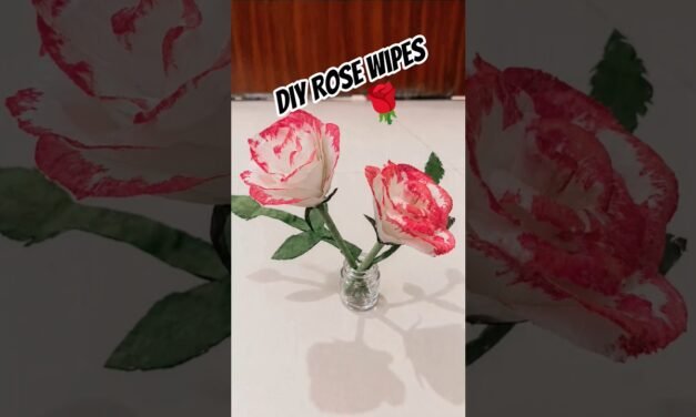 Homemade Rose Wet Wipes | Easy Beauty Hack! #diy #craft #shorts