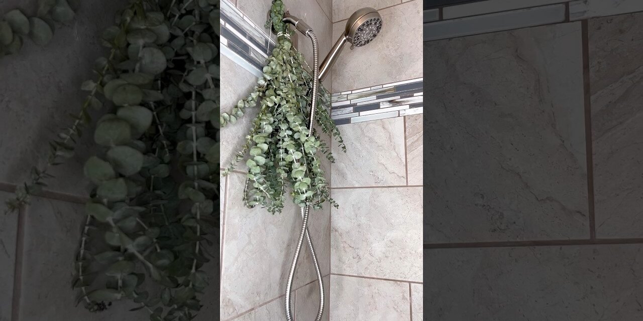 benefits of eucalyptus in shower #shorts #eucalyptus #showerthoughts #spa #selfcare #wellness