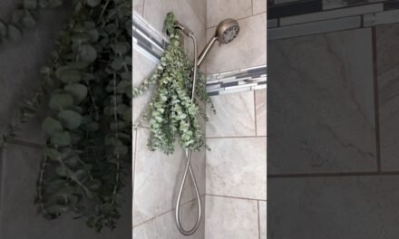 benefits of eucalyptus in shower #shorts #eucalyptus #showerthoughts #spa #selfcare #wellness