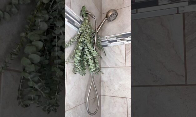 benefits of eucalyptus in shower #shorts #eucalyptus #showerthoughts #spa #selfcare #wellness